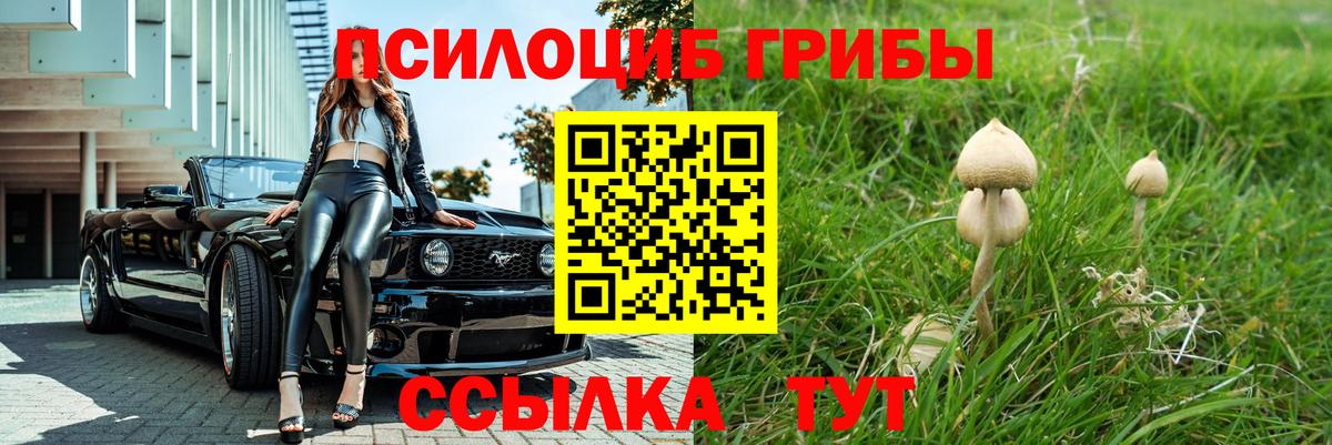 Галлюциногенные грибы мицелий Видное