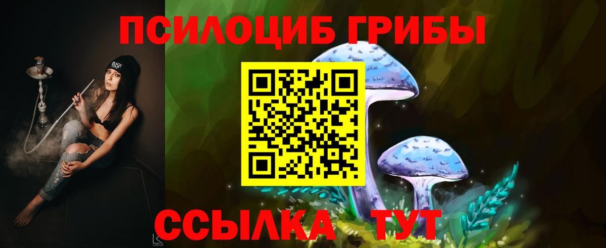 Видное  наркотики  Вход с VPN  Галлюциногенные грибы Cubensis 