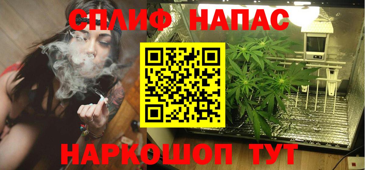 Шишки марихуана сатива Видное